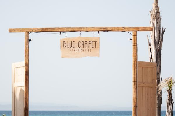  blue carpet suites